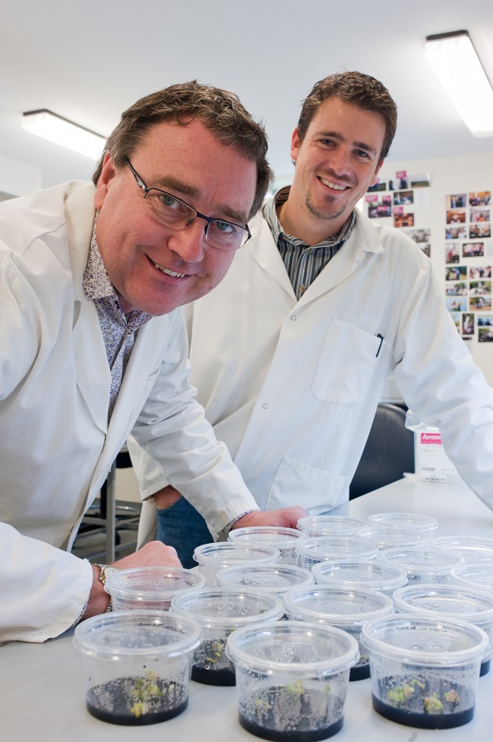 Researchers find pathway to new grape varieties