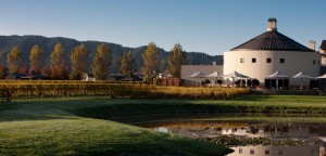 craggy-range-winery