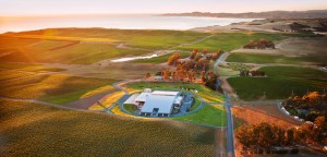 Yealands-Estate-Winery