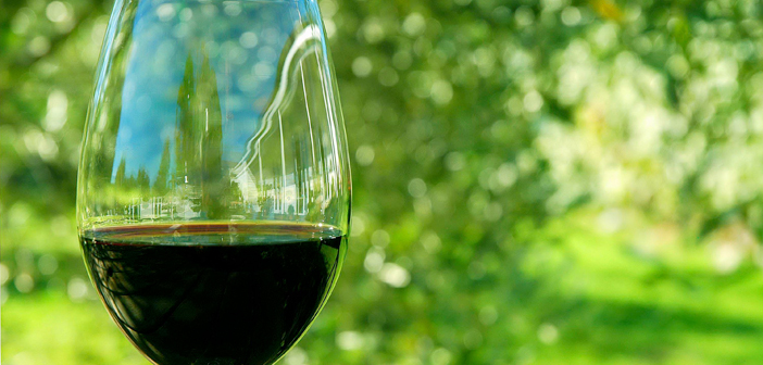 New Zealand has a global reputation for high quality, well-made wines. But just how significant is the New Zealand wine industry to the NZ economy?