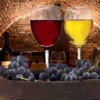 Wine still-life